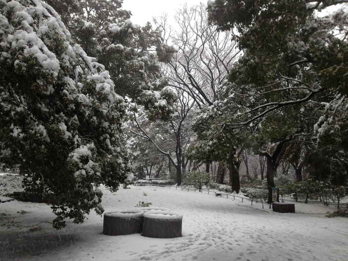 Photo 14-01-2013 15 22 54