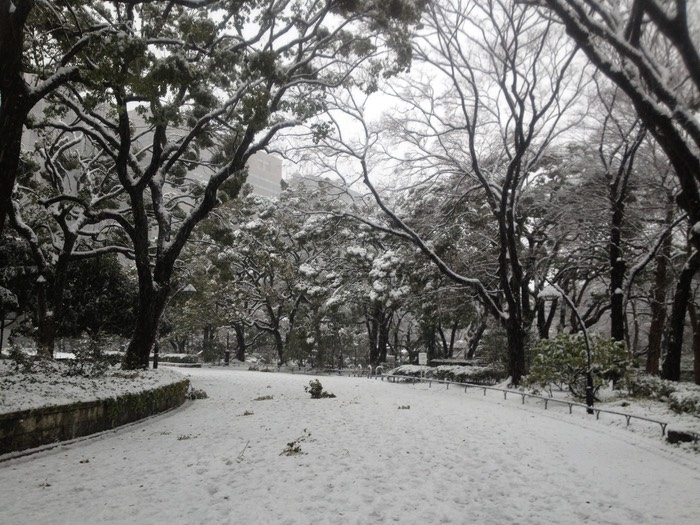 Photo 14-01-2013 15 23 30