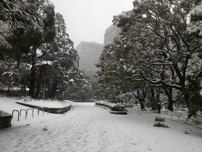 Photo 14-01-2013 15 24 08