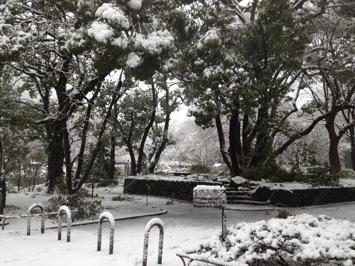 Photo 14-01-2013 15 24 12