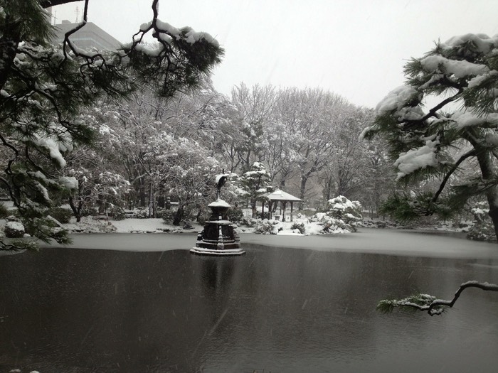 Photo 14-01-2013 15 25 41