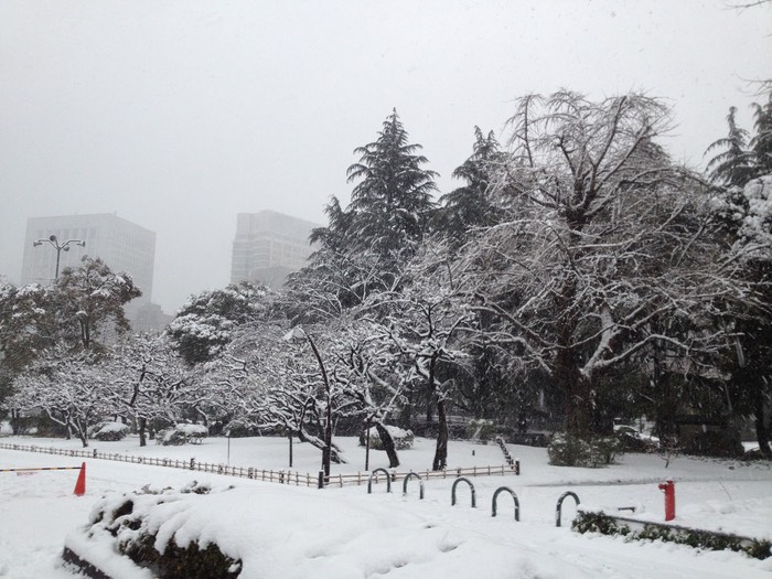 Photo 14-01-2013 15 29 42