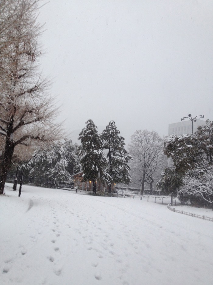 Photo 14-01-2013 15 30 00