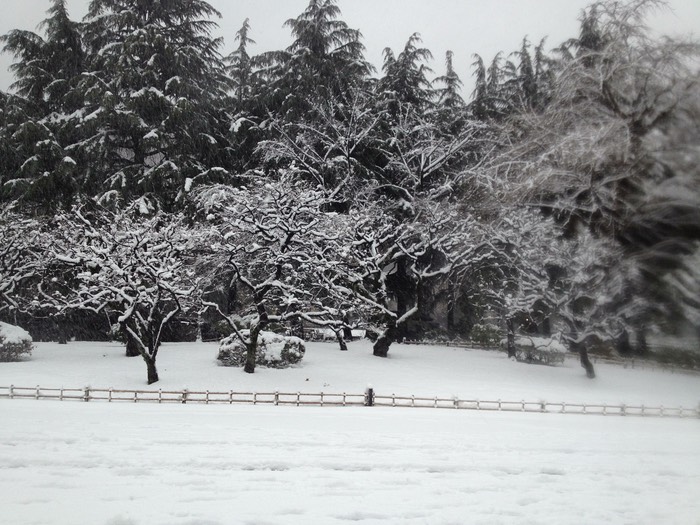 Photo 14-01-2013 15 30 34