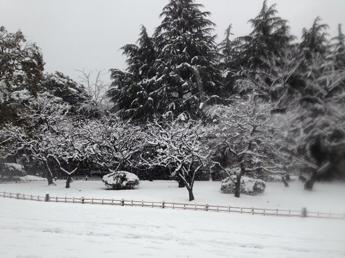 Photo 14-01-2013 15 30 39