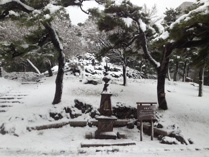 Photo 14-01-2013 15 34 03