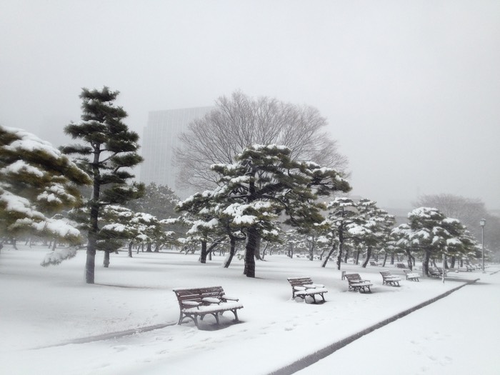 Photo 14-01-2013 15 39 02