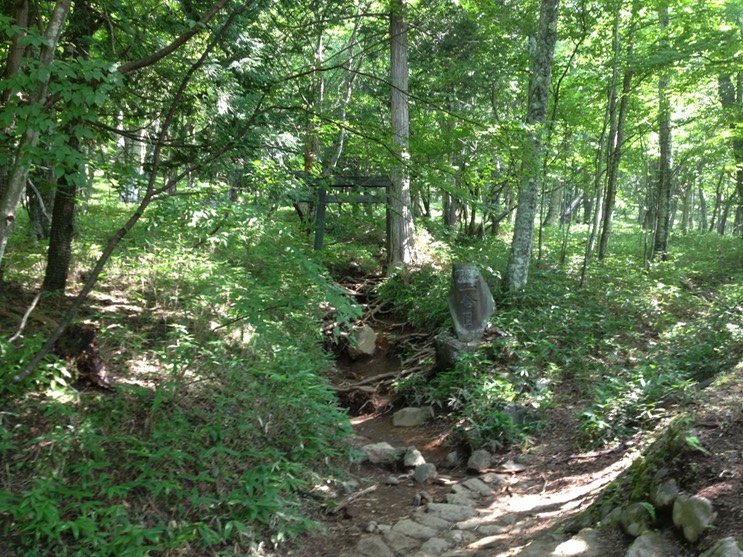 Photo 14-08-2013 09 13 40