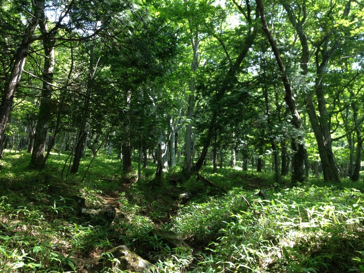 Photo 14-08-2013 09 15 10