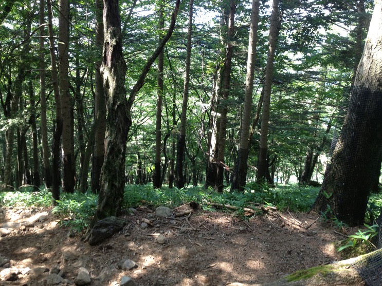 Photo 14-08-2013 09 37 14