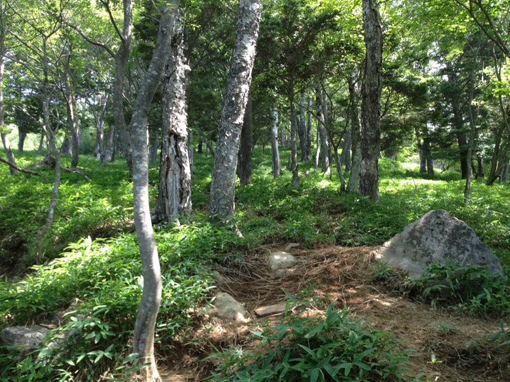 Photo 14-08-2013 10 04 12