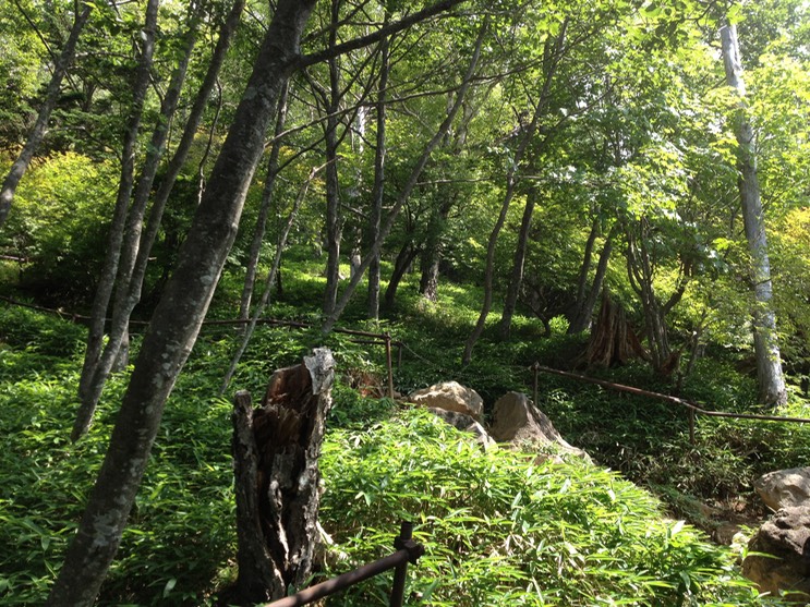 Photo 14-08-2013 10 15 03