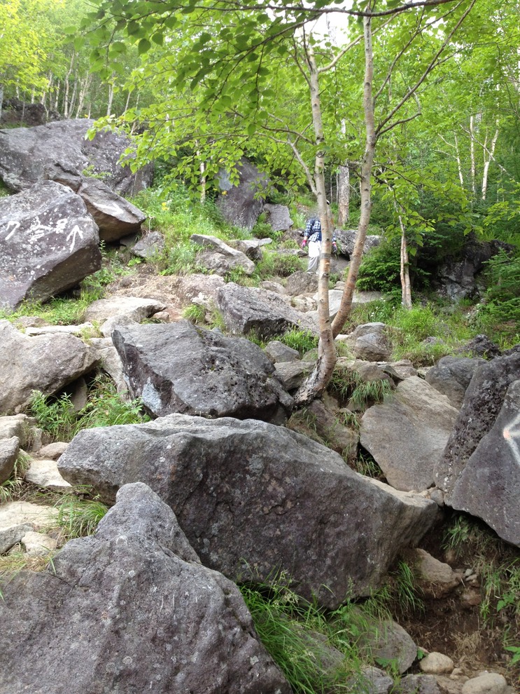 Photo 14-08-2013 11 04 02