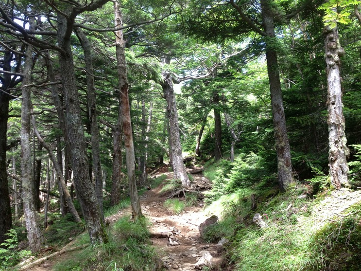 Photo 14-08-2013 11 40 33