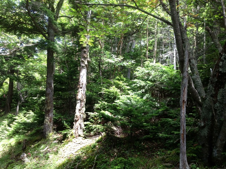 Photo 14-08-2013 11 40 40