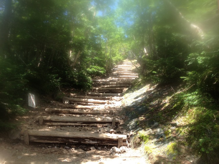 Photo 14-08-2013 11 53 17