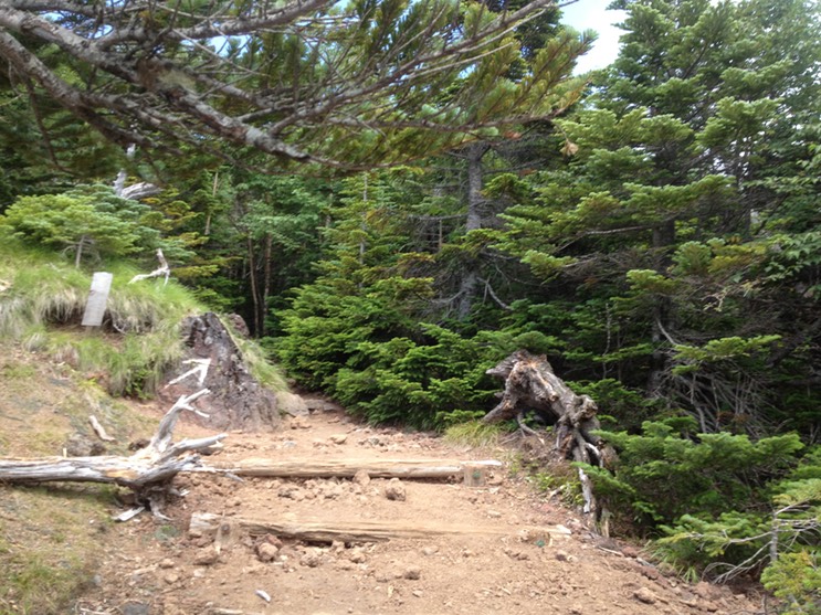 Photo 14-08-2013 11 57 58