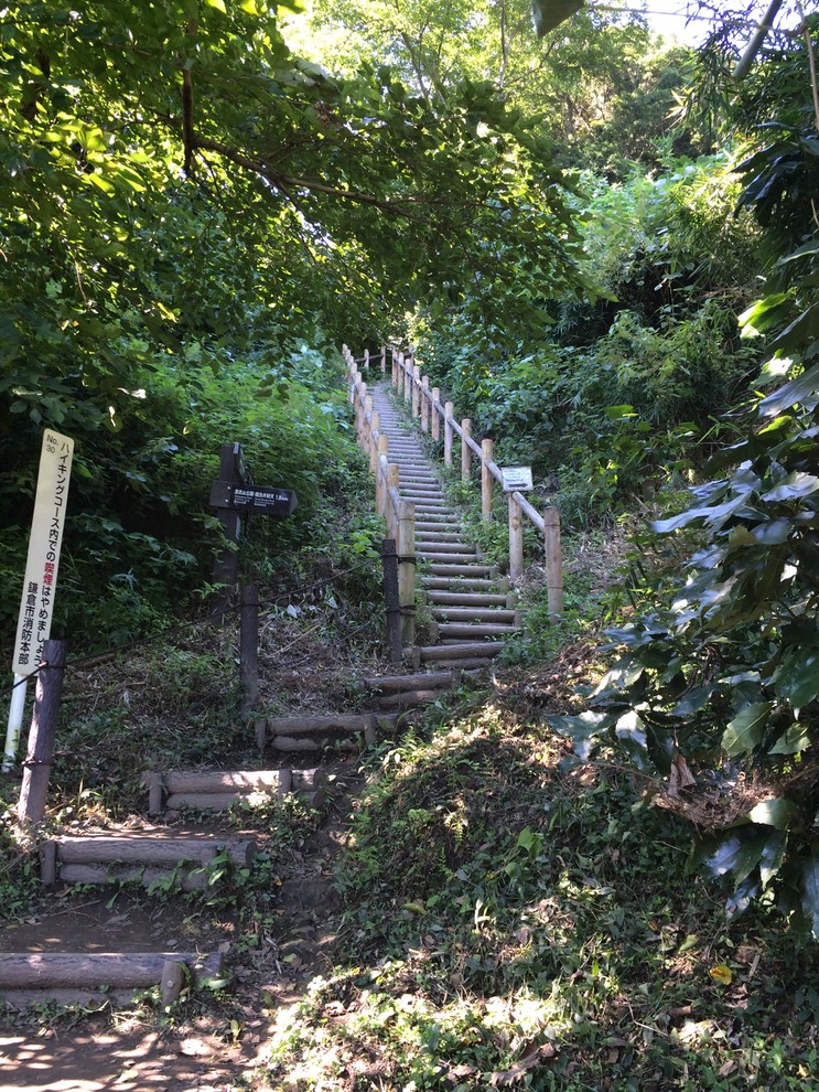 Photo 14-09-2014 13 50 52