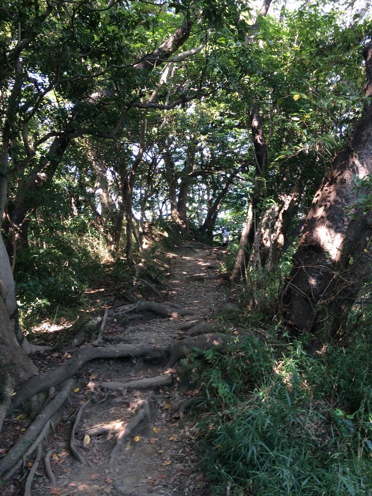 Photo 14-09-2014 14 01 27