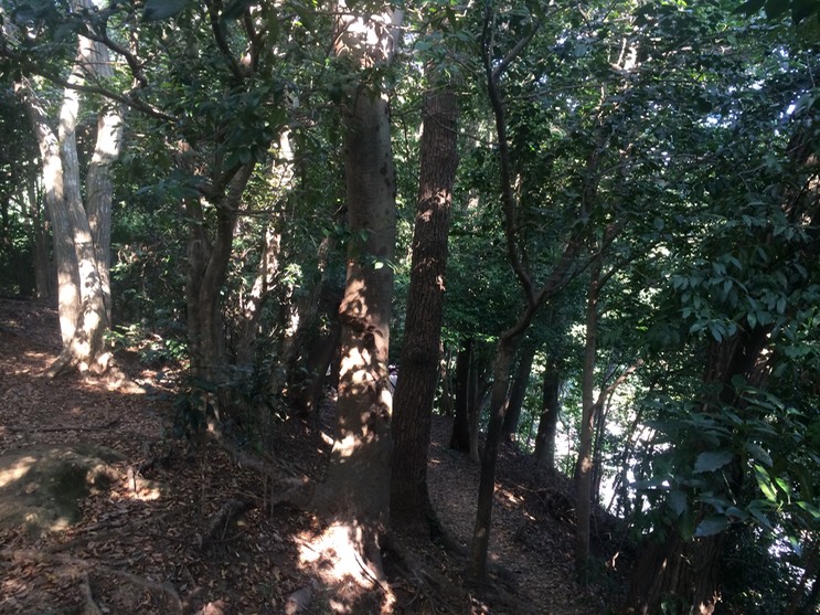 Photo 14-09-2014 14 58 31