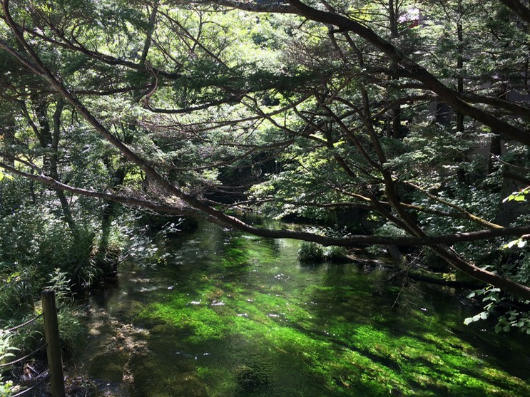 Photo 16-08-2015 09 42 27 (1)