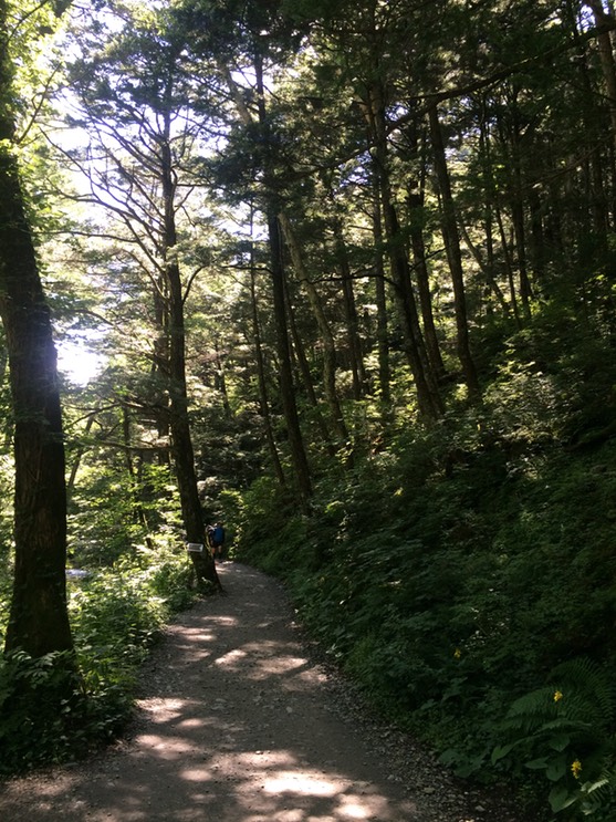 Photo 16-08-2015 09 49 05