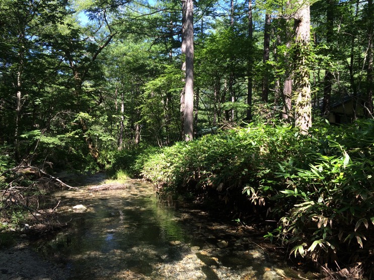 Photo 16-08-2015 09 49 28