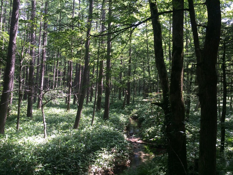 Photo 16-08-2015 09 54 11