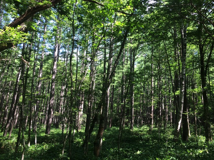 Photo 16-08-2015 09 55 02