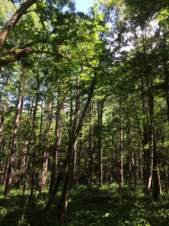 Photo 16-08-2015 09 55 06