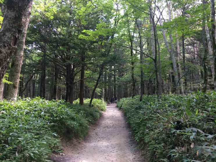 Photo 16-08-2015 09 59 14