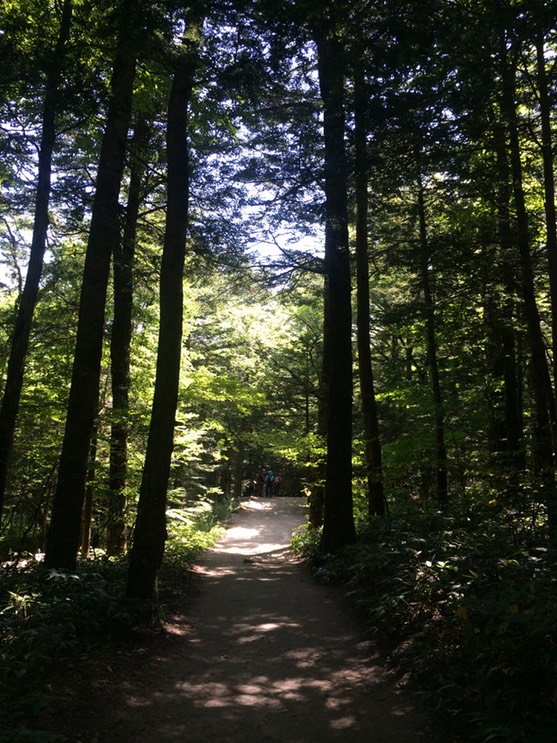 Photo 16-08-2015 10 01 39