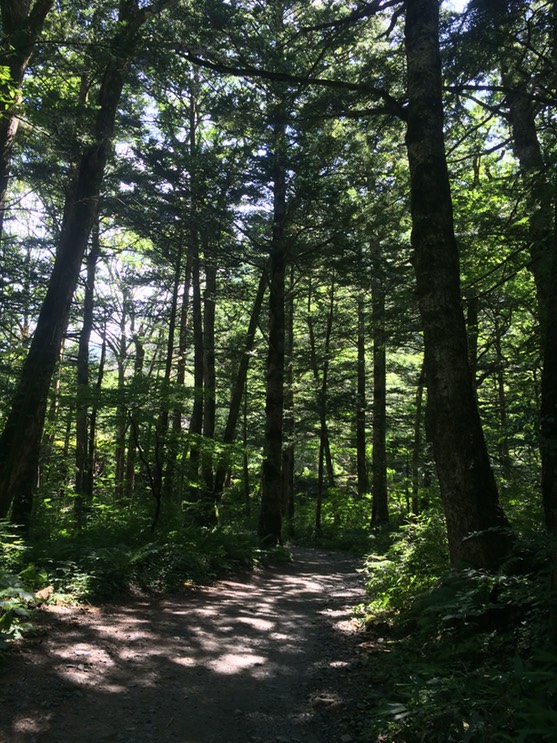 Photo 16-08-2015 10 21 37