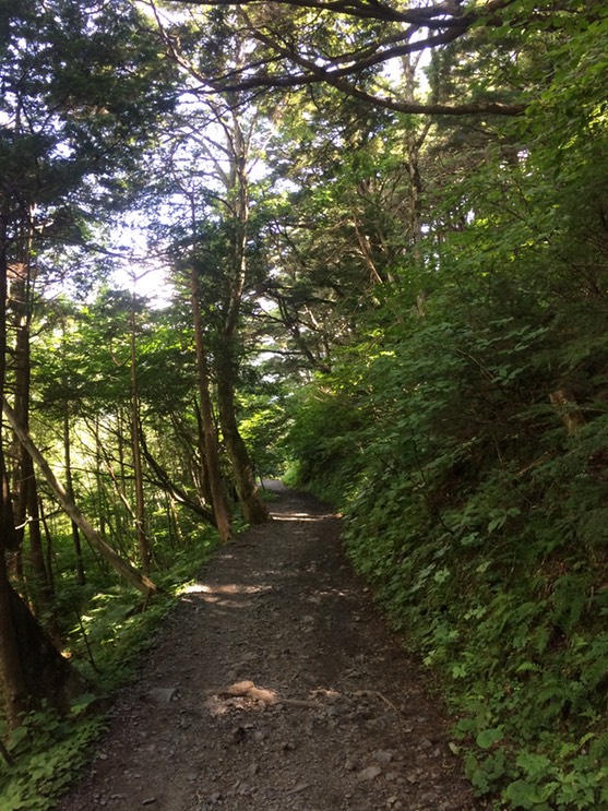 Photo 16-08-2015 10 24 43