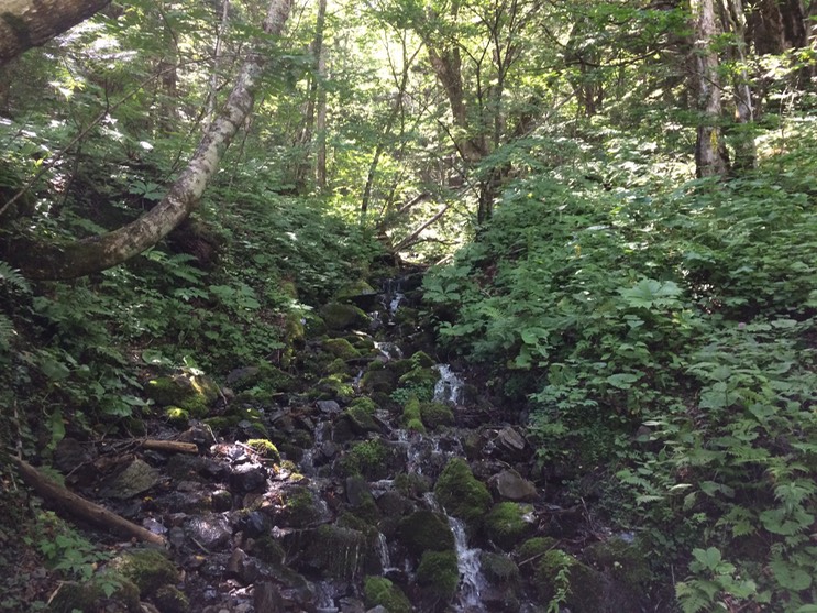 Photo 16-08-2015 10 29 23