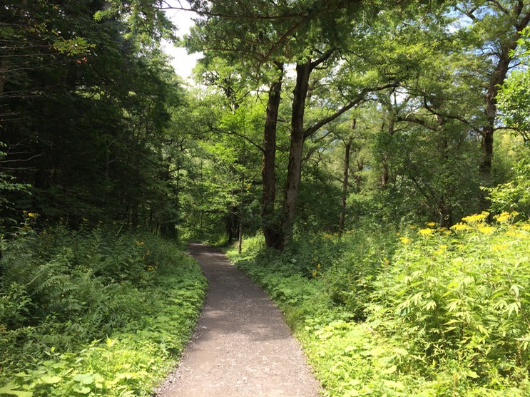 Photo 16-08-2015 11 06 37