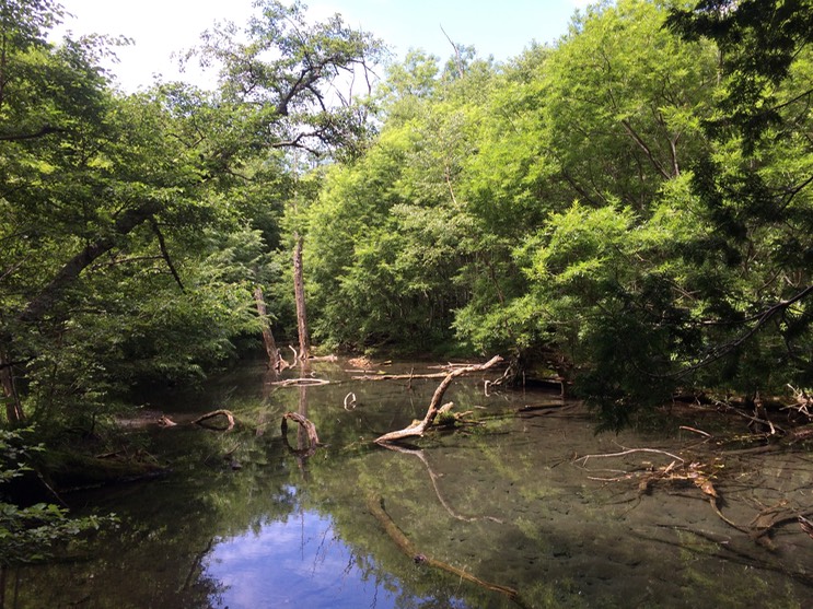 Photo 16-08-2015 11 08 36