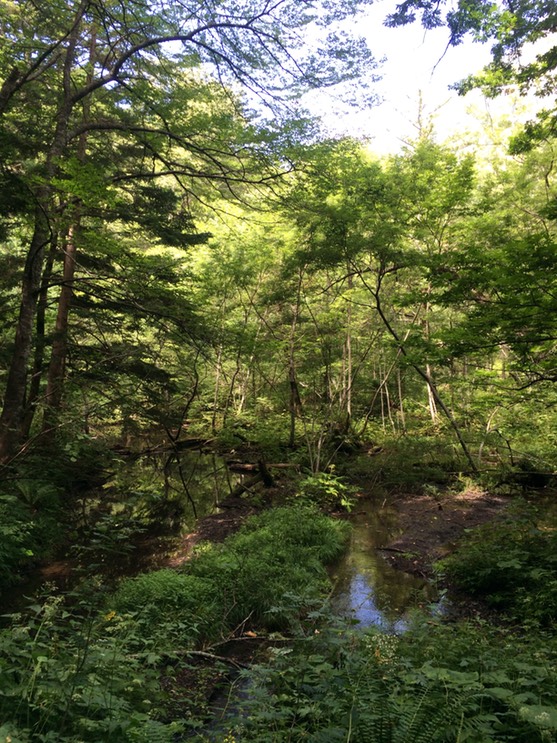 Photo 16-08-2015 11 12 25