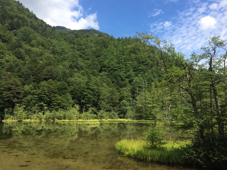 Photo 16-08-2015 11 45 12