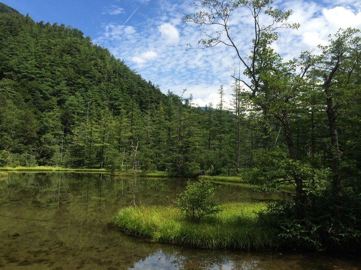 Photo 16-08-2015 11 46 33