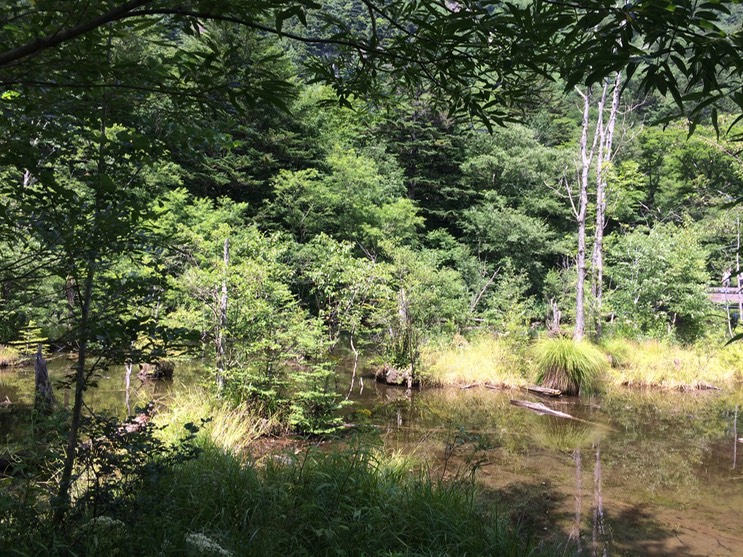 Photo 16-08-2015 12 00 03