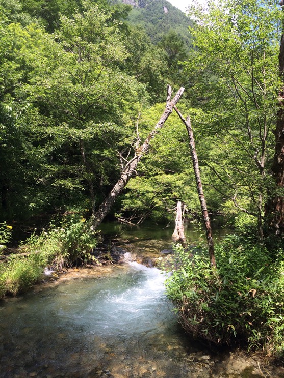 Photo 16-08-2015 12 00 43