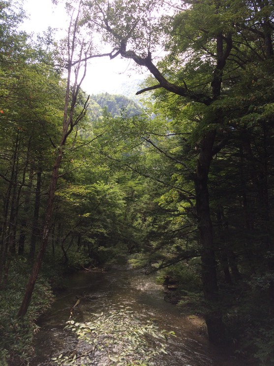 Photo 16-08-2015 12 02 15