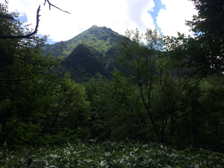 Photo 16-08-2015 12 13 42