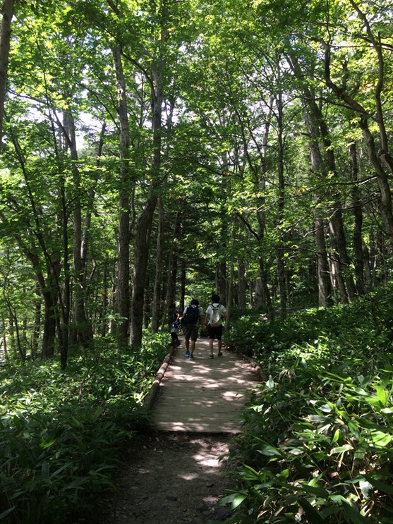 Photo 16-08-2015 12 19 24