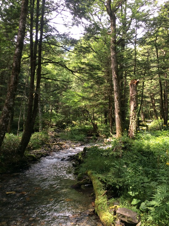 Photo 16-08-2015 12 25 09