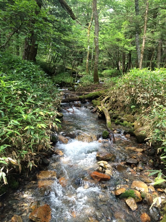 Photo 16-08-2015 12 25 46