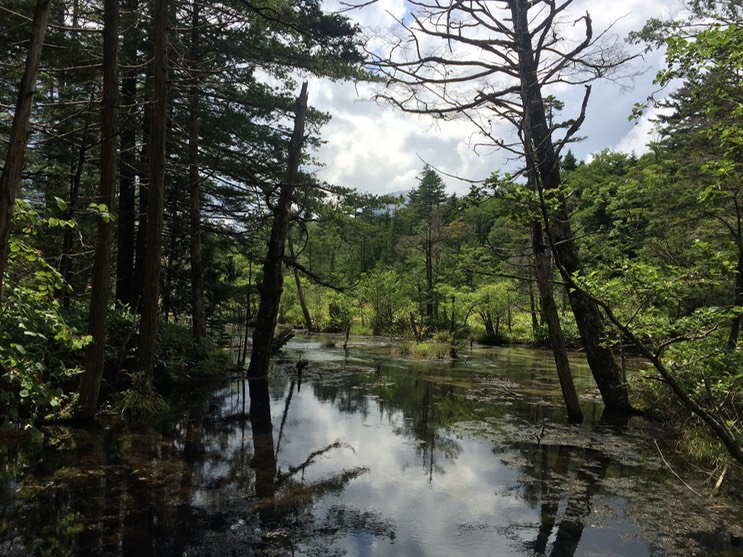 Photo 16-08-2015 12 31 07 (1)