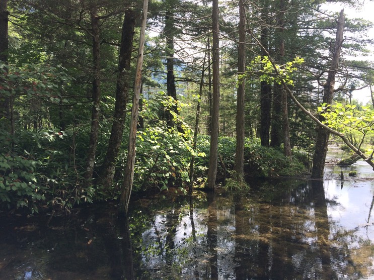 Photo 16-08-2015 12 31 15