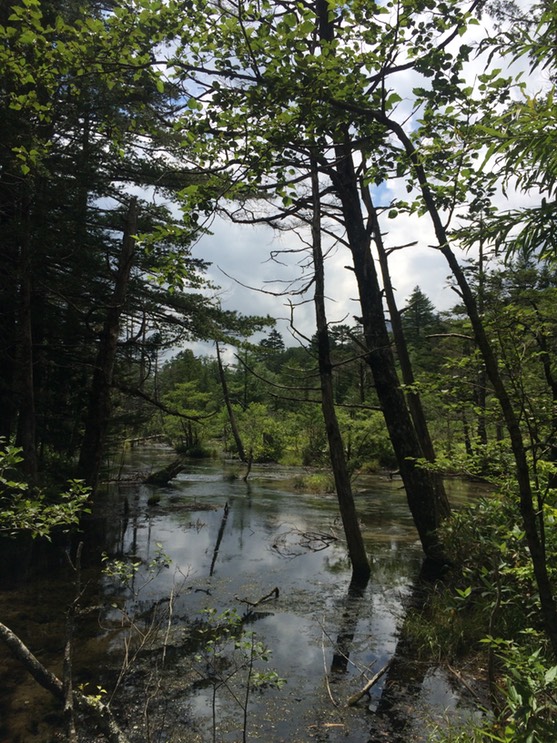 Photo 16-08-2015 12 31 21